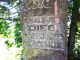 Photo of headstones/thumb_Donald John McLennan d1906 hdstn Grinley Hill Cem ON